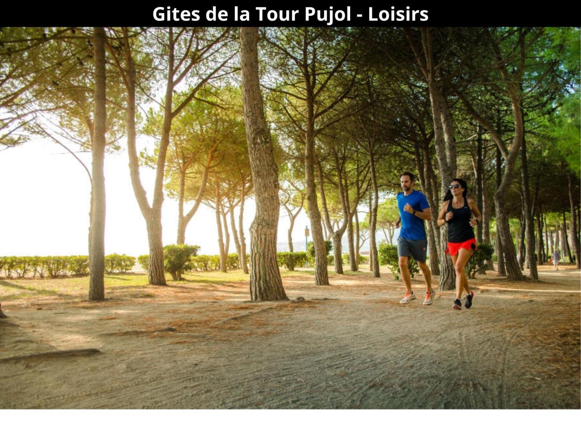 Les Gites De La Tour Pujol 아르젤레쉬르메르 외부 사진