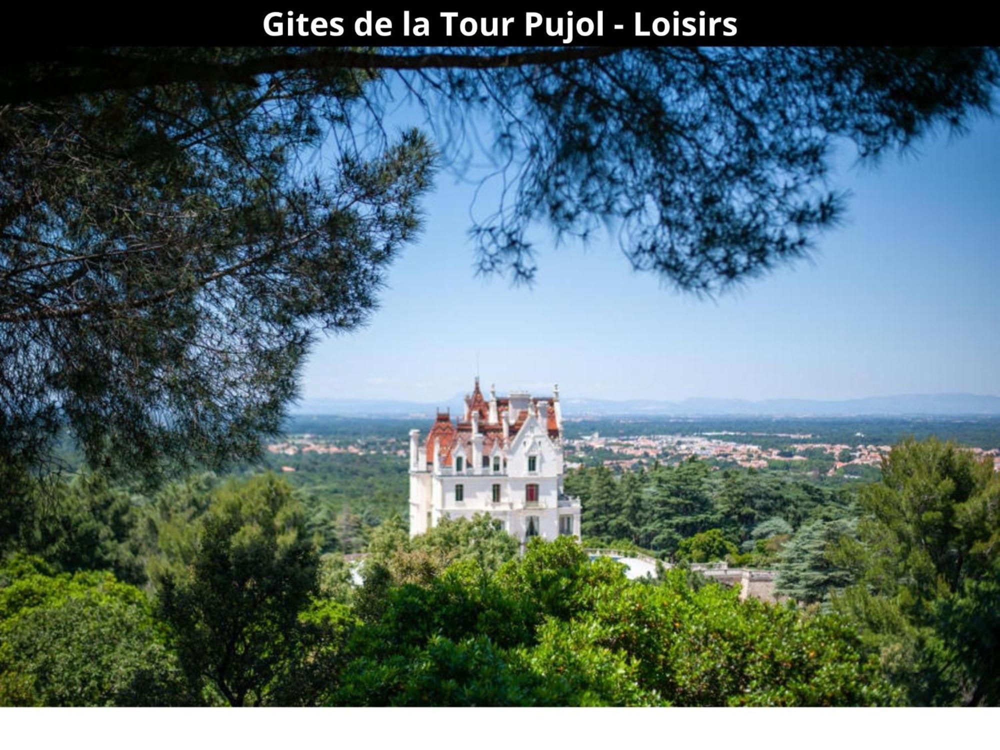 Les Gites De La Tour Pujol 아르젤레쉬르메르 외부 사진