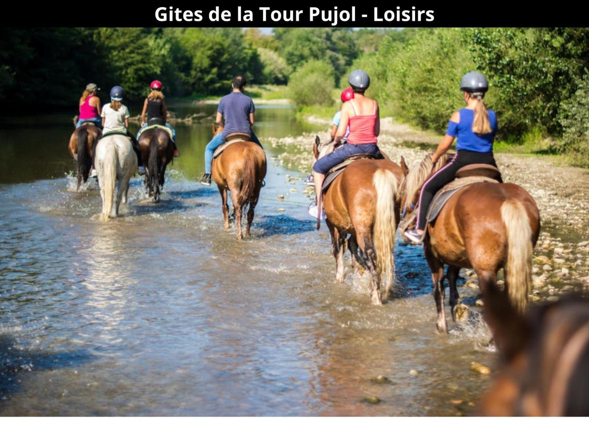 Les Gites De La Tour Pujol 아르젤레쉬르메르 외부 사진