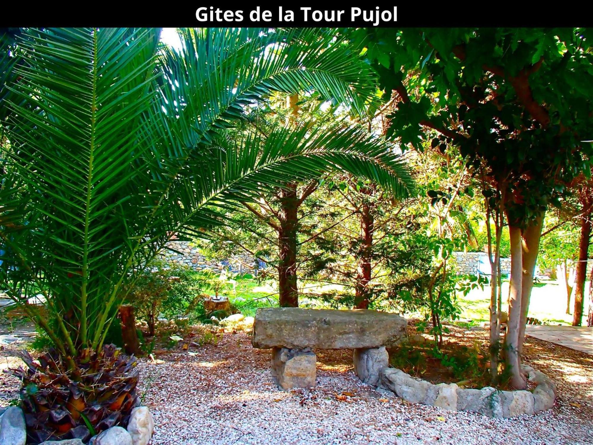 Les Gites De La Tour Pujol 아르젤레쉬르메르 외부 사진