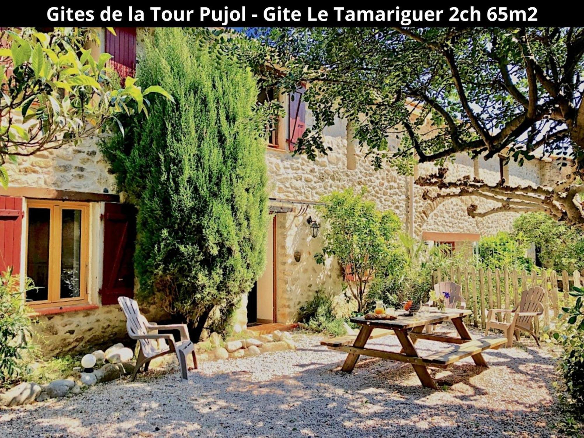 Les Gites De La Tour Pujol 아르젤레쉬르메르 외부 사진